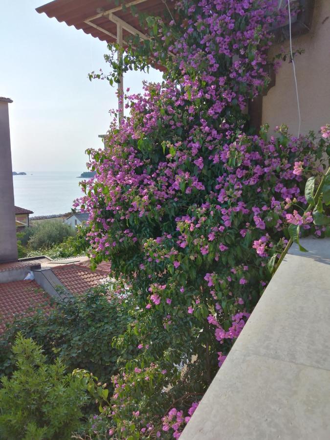 Luna Tsuki Seven Aparthotel Rovinj Kültér fotó