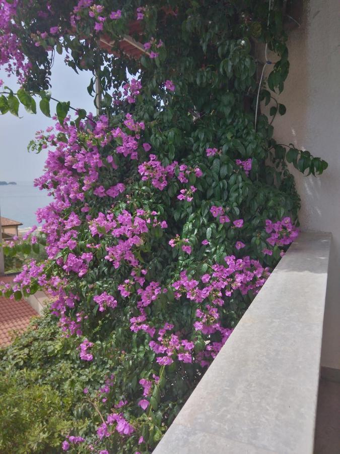 Luna Tsuki Seven Aparthotel Rovinj Kültér fotó