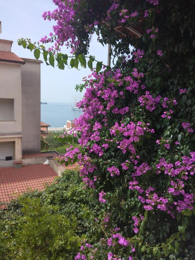 Luna Tsuki Seven Aparthotel Rovinj Kültér fotó